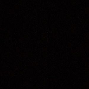 Meet your Posher, Darnell